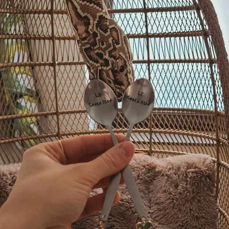 Escapade Tropicale Au Costa Rica *