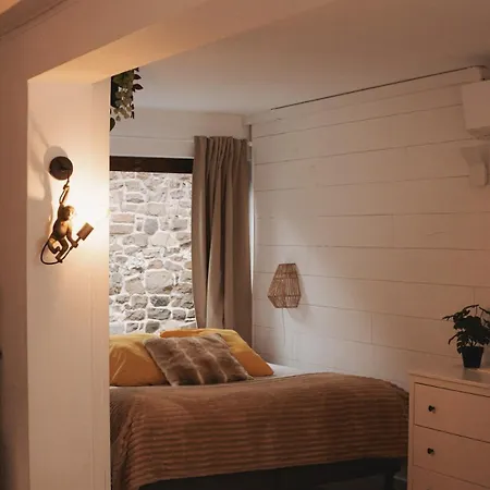 Escapade Tropicale Au Costa Rica * Profondeville